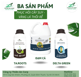 Phục Hồi Cây Suy - Vàng Lá Thối Rễ