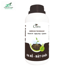 TA.ROOTS (Vitamin B1 - Alpha Naa - Cytoknin)