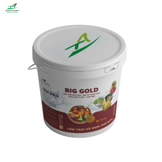 BIG GOLD