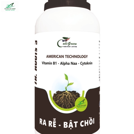 TA.ROOTS (Vitamin B1 - Alpha Naa - Cytoknin)